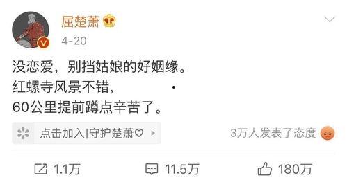 娱乐吃瓜博主文案怎么写