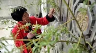 吃瓜网红事件固原